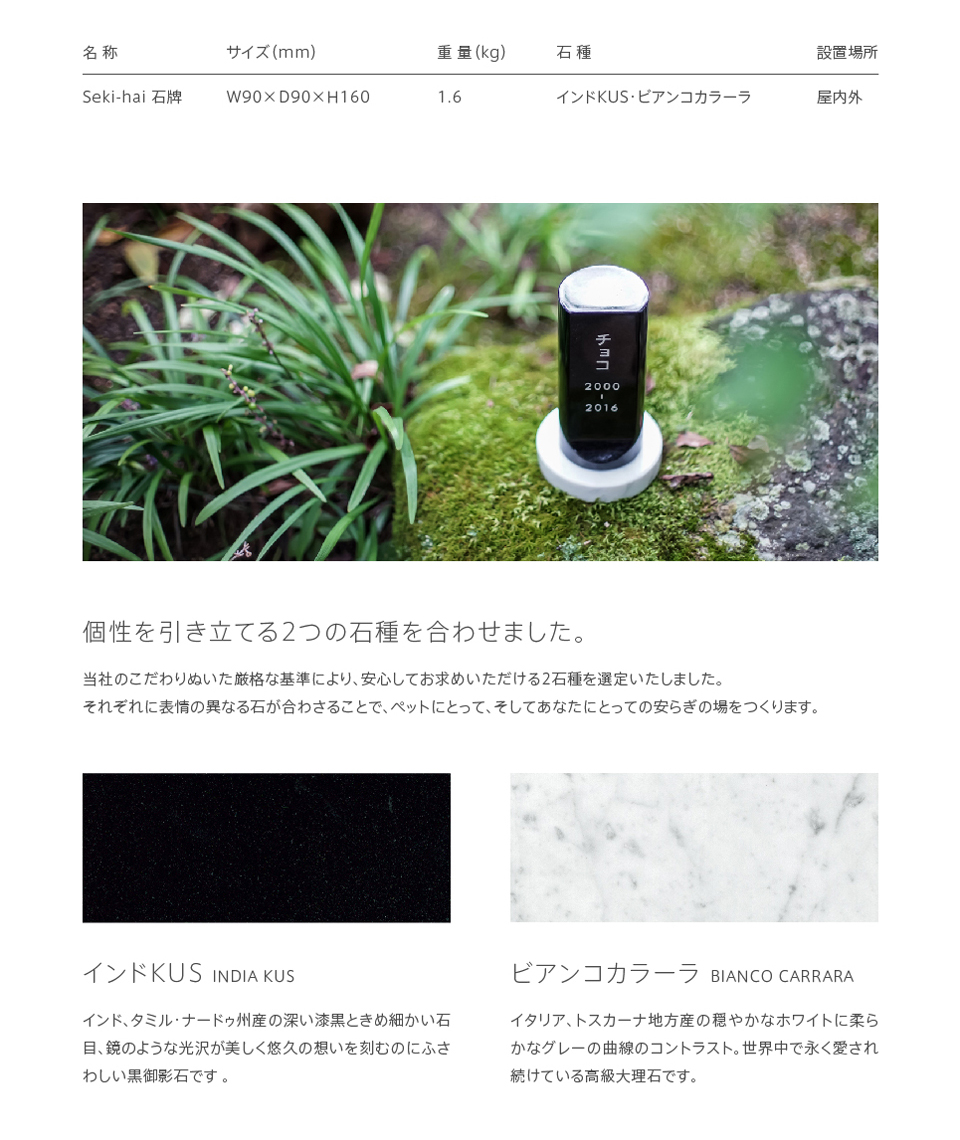 サイズ