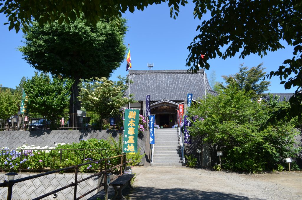 嵐山町金泉寺(あじさい寺)本堂へ上がる階段 左側には池あり