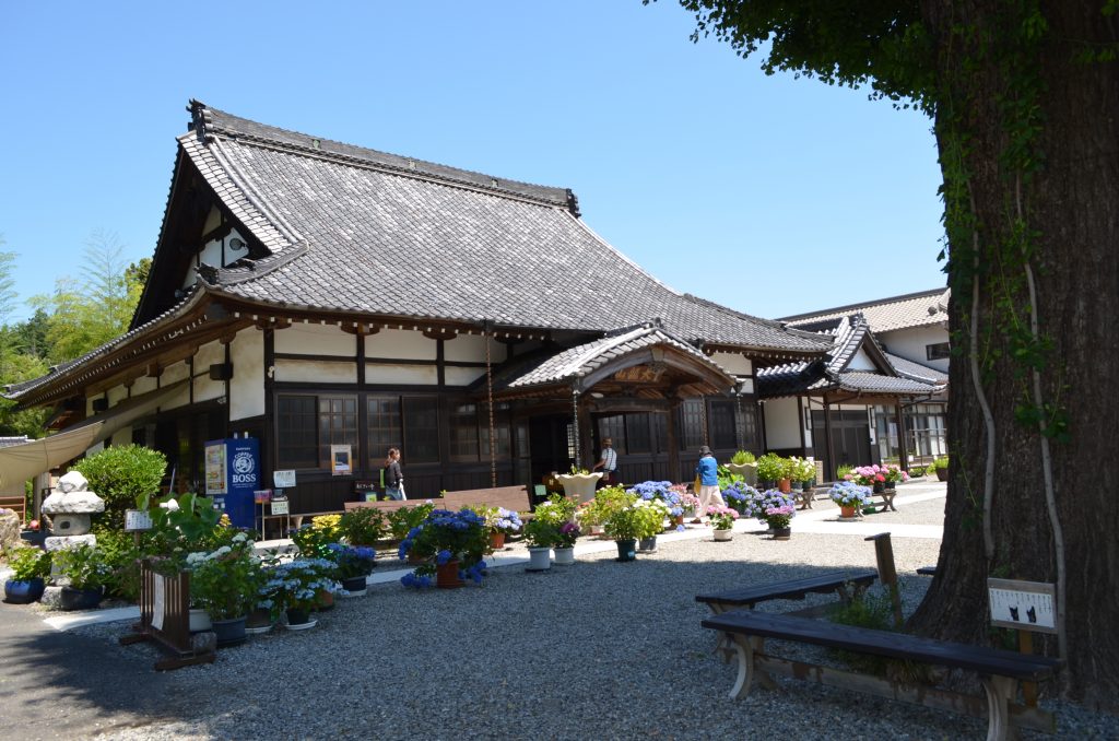 嵐山町金泉寺（あじさい寺）本堂前の画像