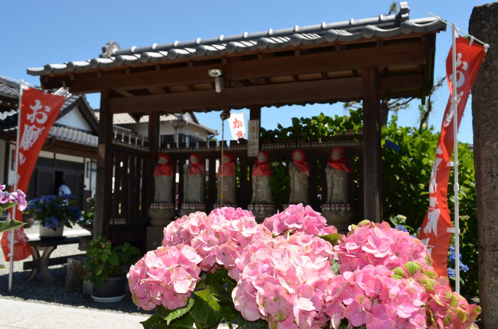 嵐山町金泉寺(あじさい寺)境内にある六地蔵様 あじさいに囲まれています