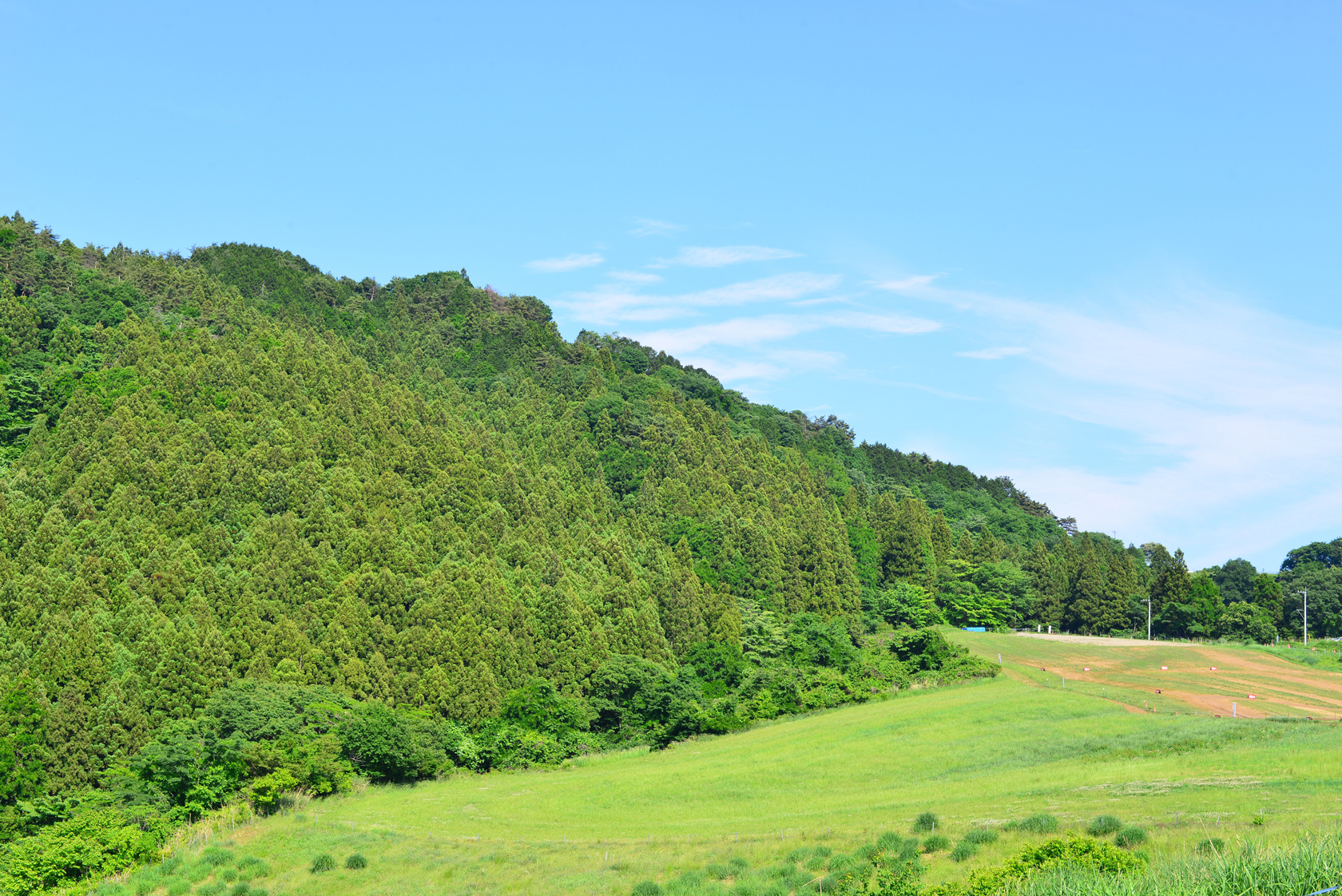 高原牧場：頂上風景