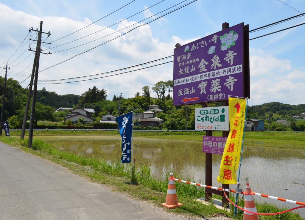 埼玉県嵐山町にあるあじさい寺と呼ばれている金泉寺さんの入口を示す看板。田んぼの中に立っています。