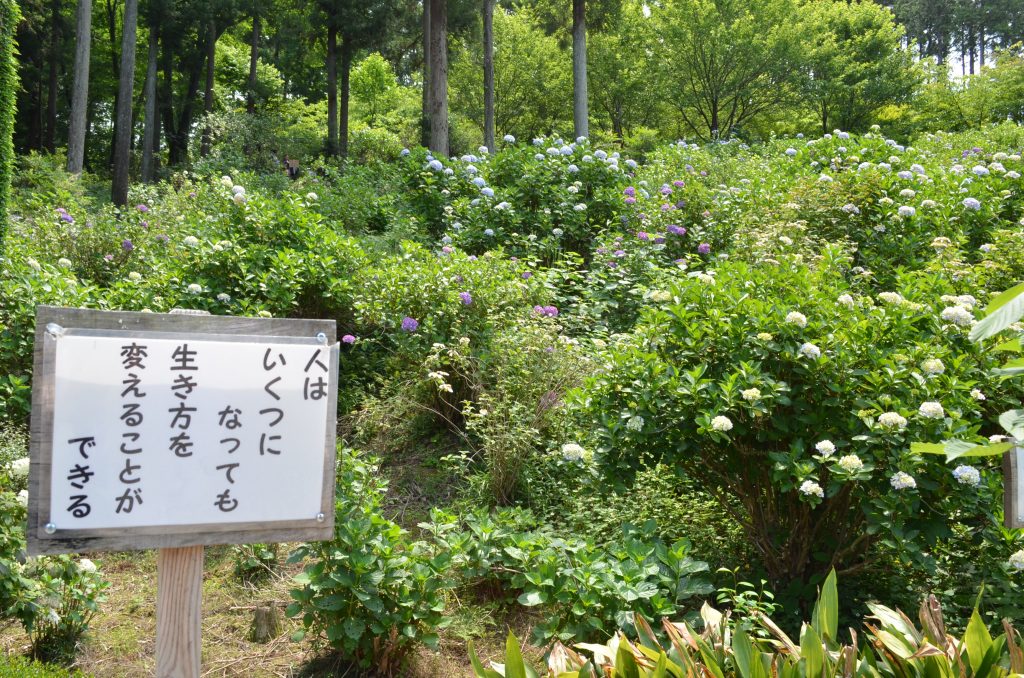 あじさい寺（金泉寺）境内に立っている有難い言葉が書かれた掲示板その５　「人はいくつになっても　生き方を変えることができる」